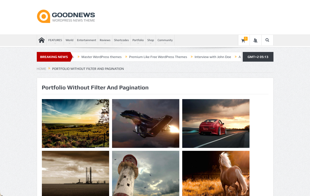 Portfolio page showing filterable portfolio items in a grid.